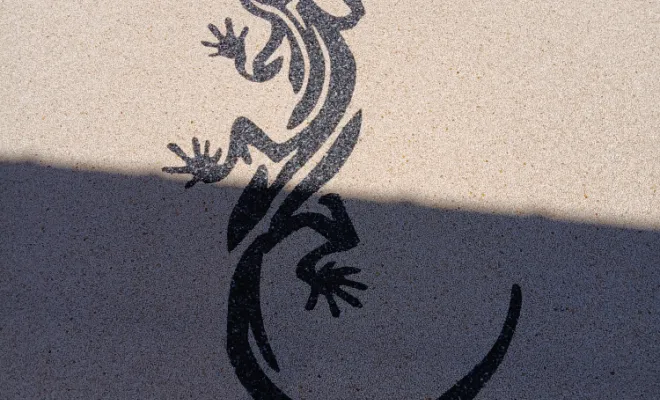 Motif salamandre 